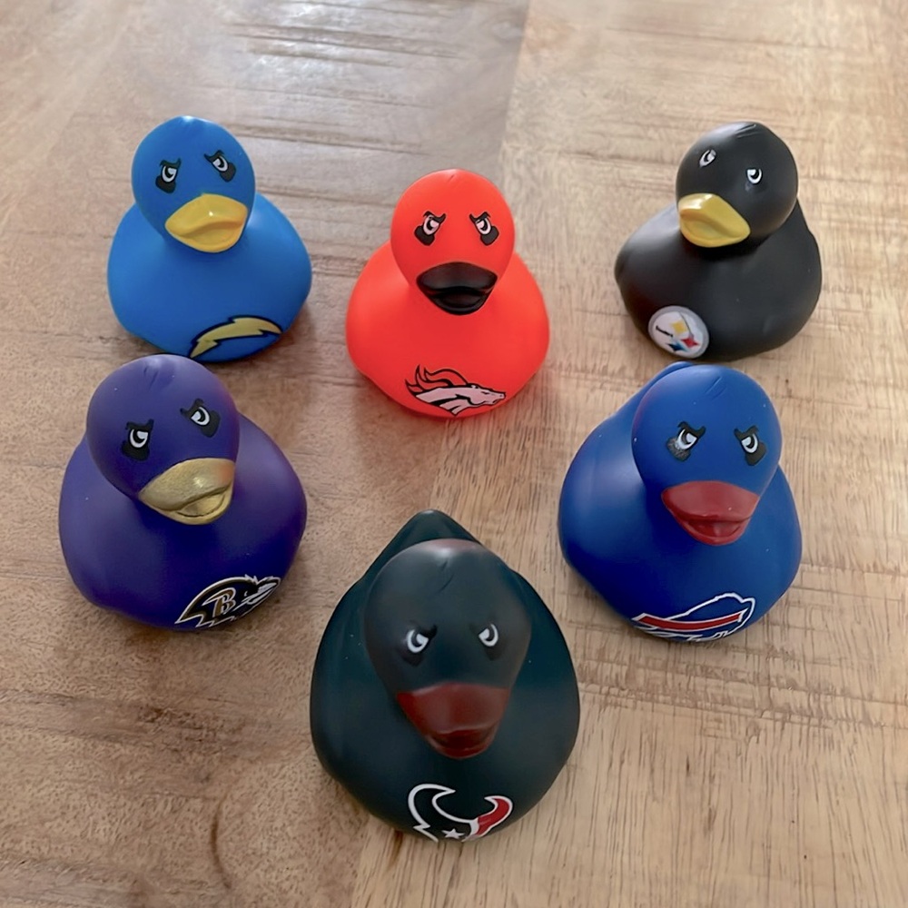 Playoff Team Ducks!! 🏈🏉